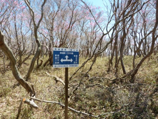 画像31